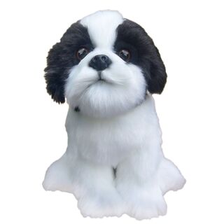 Shih-Tzu Black & White Dog - Faithful Friends