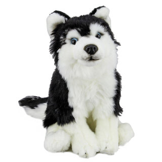 Siberian Husky Dog - Faithful Friends