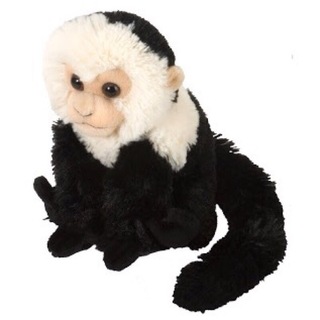 Capuchin Monkey Black Cuddlekins Mini - Wild Republic